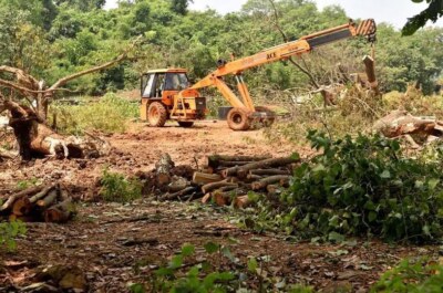 AAREY Forest has Fired..!